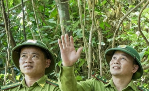 Vườn quốc gia Vũ Quang: Ngôi nhà của động vật hoang dã