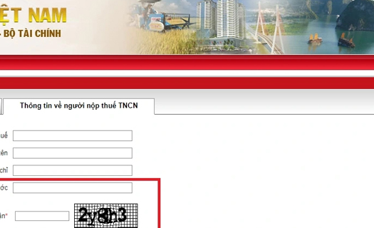 Cách tra cứu mã số thuế cá nhân online nhanh nhất năm 2025