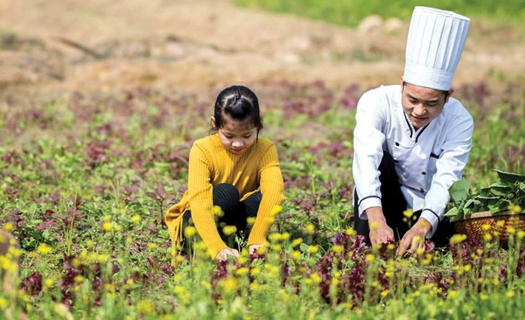 Phát triển du lịch nông nghiệp, nông thôn: Một mục tiêu, nhiều lợi ích