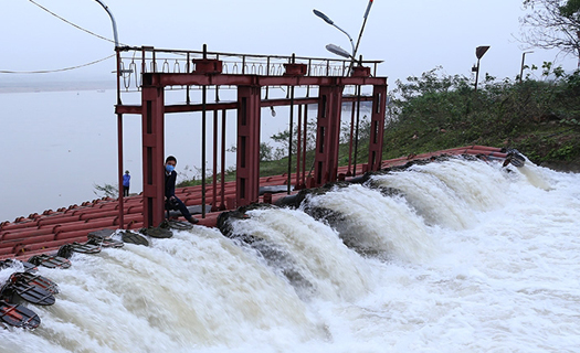 EVN hoàn thành cấp nước phục vụ sản xuất nông nghiệp vụ Đông xuân 2020 - 2021