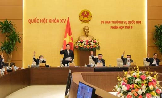 Ngăn chặn việc trúng đấu giá đất rồi không thực hiện cam kết