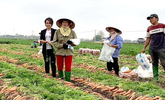 Big C và Central Group Việt Nam đồng hành cùng nông dân