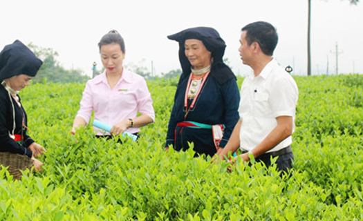 Xây dựng nông thôn mới ở Thái Nguyên: Mang lại diện mạo mới cho vùng nông thôn