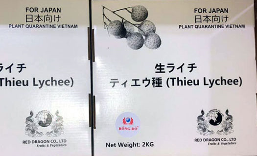 Vải thiều Việt Nam được kỳ vọng sẽ gia tăng thị phần tại Nhật Bản