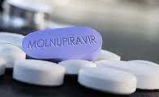 Bộ Y tế khuyến cáo việc sử dụng thuốc Molnupiravir an toàn và hiệu quả