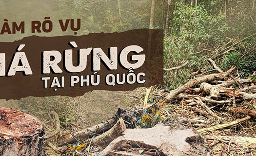 CẦN LÀM RÕ VỤ PHÁ RỪNG TẠI PHÚ QUỐC - Bài 1