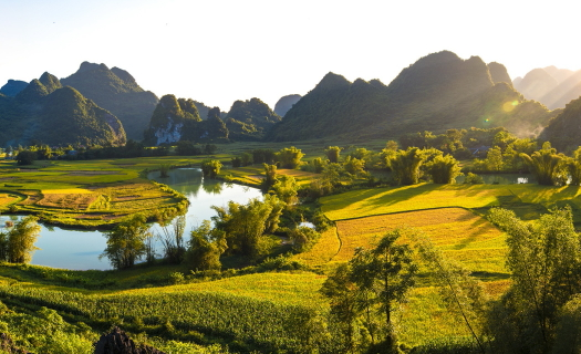 Mùa gặt bên dòng Quây Sơn