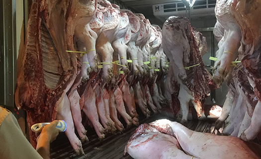 TP. Hồ Chí Minh:  Phối hợp liên ngành để ngăn chặn thực phẩm bẩn