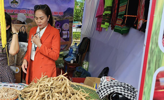 Tăng tỷ lệ thoát nghèo nhờ trồng cây dược liệu