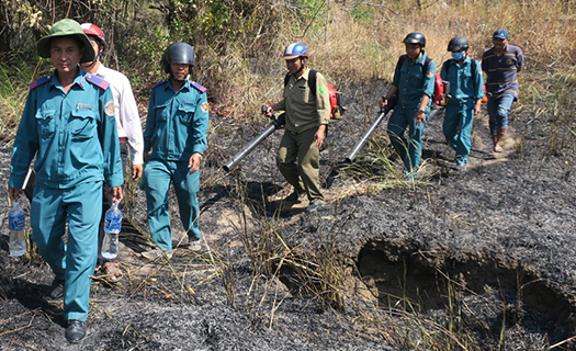 Trực chiến ngăn 