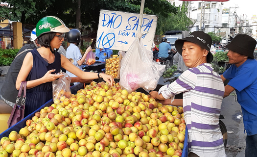 Trái cây Trung Quốc 