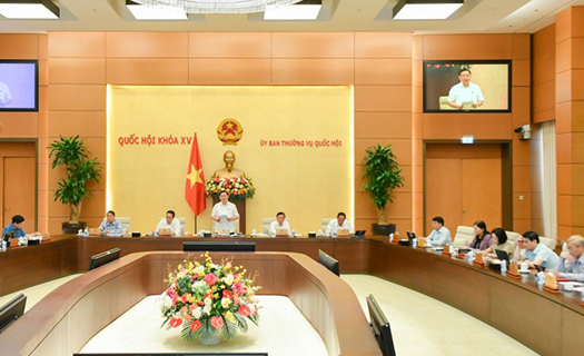 Thượng tướng Nguyễn Tân Cương: Còn khoảng trống pháp luật về tình trạng khẩn cấp