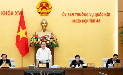 Sẽ sửa đổi Hiến pháp 2013 và các luật liên quan sắp xếp, tinh gọn