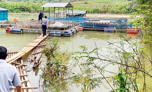 Thanh Hóa: Đẩy mạnh kiểm tra, giám sát công tác giảm nghèo