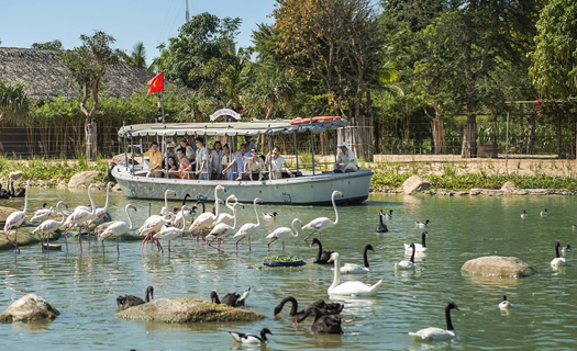 Động vật quý hiếm liên tục được cứu hộ và sinh sản thần kỳ tại Vinpearl Safari