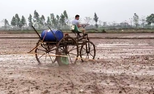 Khát vọng làm giàu trên những cánh đồng bỏ hoang