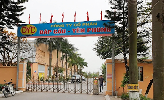 Vi phạm trong lĩnh vực bảo vệ môi trường, nhiều doanh nghiệp ở Bắc Ninh bị xử phạt