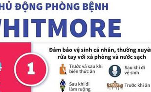 Bộ Y tế khuyến cáo phòng bệnh Whitmore