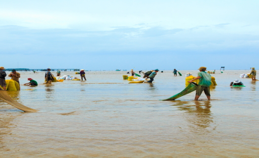 Nhọc nhằn nghề cào nghêu