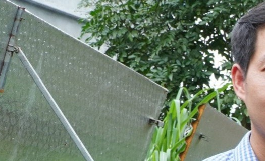Làm giàu từ nuôi tắc kè gai đen