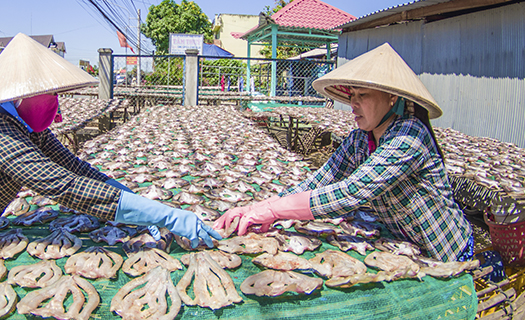 Làng nghề cá khô ở Đồng Tháp