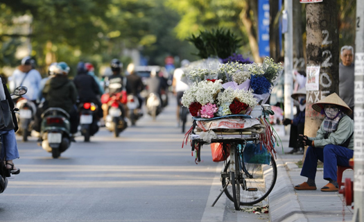 Vẻ đẹp lao động
