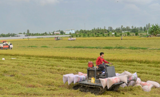 Áp thuế GTGT phân bón, cần tính cả yếu tố tác động người dân và doanh nghiệp