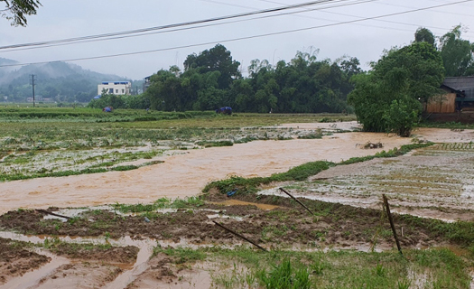 Lào Cai: Khẩn trương khắc phục hậu quả sau mưa lớn bất thường