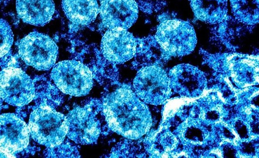 Phát hiện quan trọng về virus SARS-CoV-2 giúp phát triển thuốc chữa Covid-19
