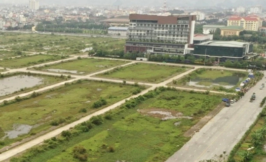 Ninh Bình kiến nghị 