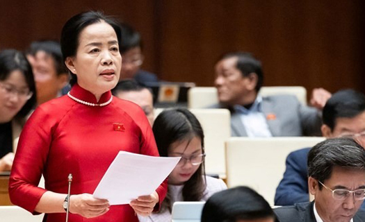 ĐBQH đề xuất áp dụng giao thầu 