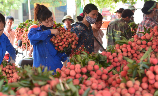 Năm 2019, năm thứ 4 xuất siêu liên tiếp