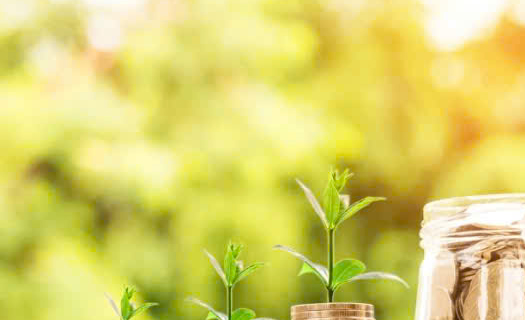 Bộ Tài chính không đồng ý đánh thuế thu nhập cá nhân với lãi tiền gửi