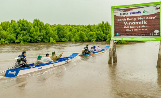 Cánh rừng net zero Vinamilk tại Cà Mau đón những đàn chim trở về