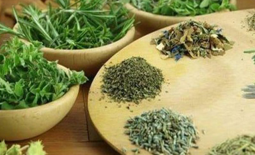 Bộ Y tế liên tục nhận được những phản ánh về việc mạo danh bài thuốc gia truyền