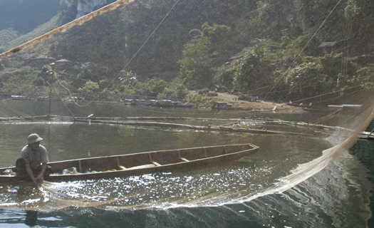 Chuyển mình cùng dòng Đà giang