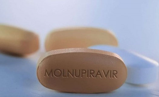 Bộ Y tế cấp phép 3 loại thuốc chứa Molnupiravir sản xuất trong nước
