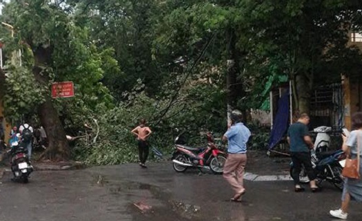 Bão số 4 đổ bộ vào Hà Tĩnh, Quảng Bình, tại Hà Nội cây đổ đè chết người.