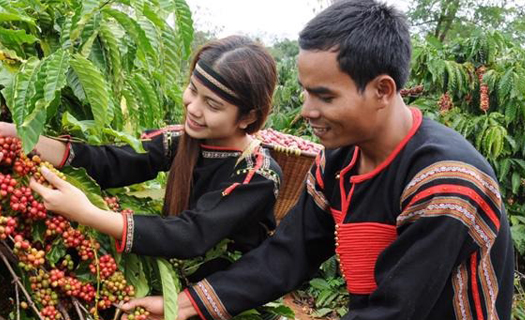 Lập trình giấc mơ, kiến tạo giá trị ở 